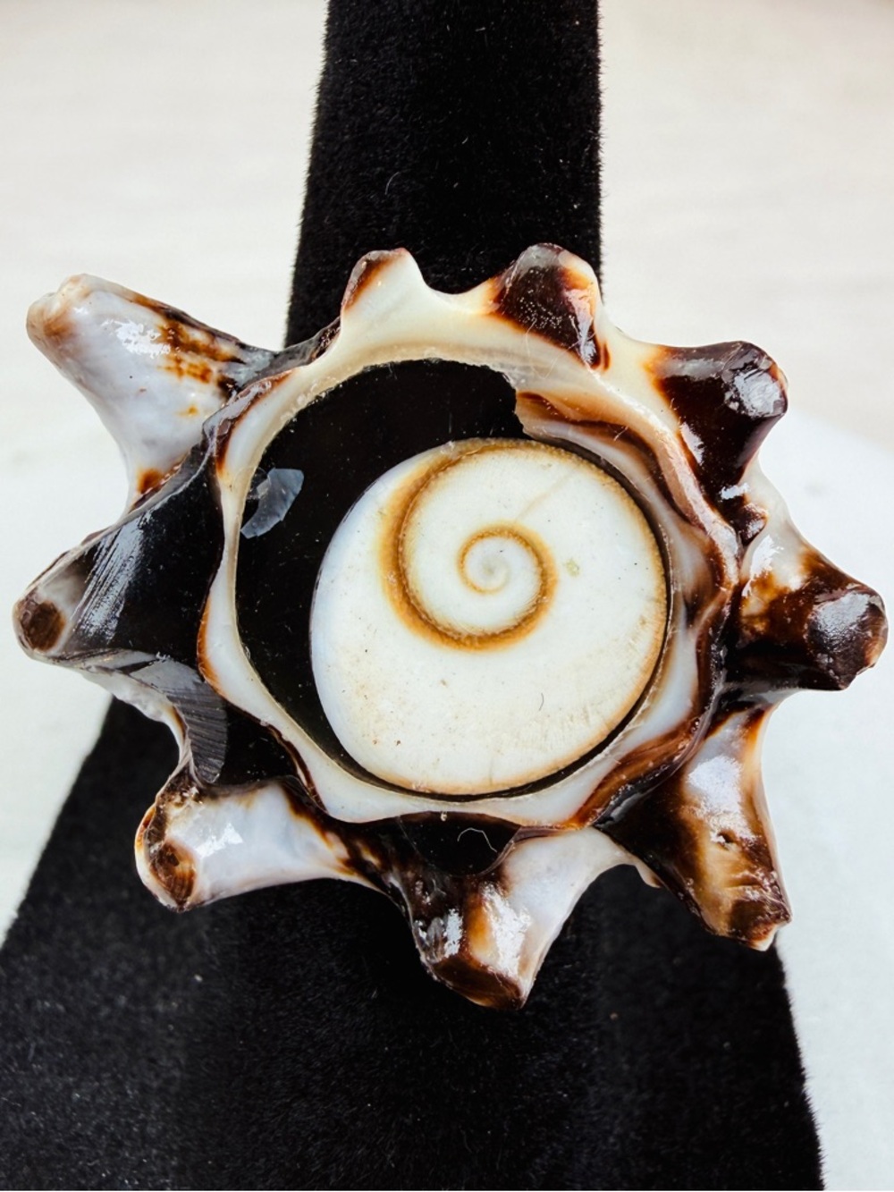 Amazing bohemian island chic, interesting shell ring size 5 3/4